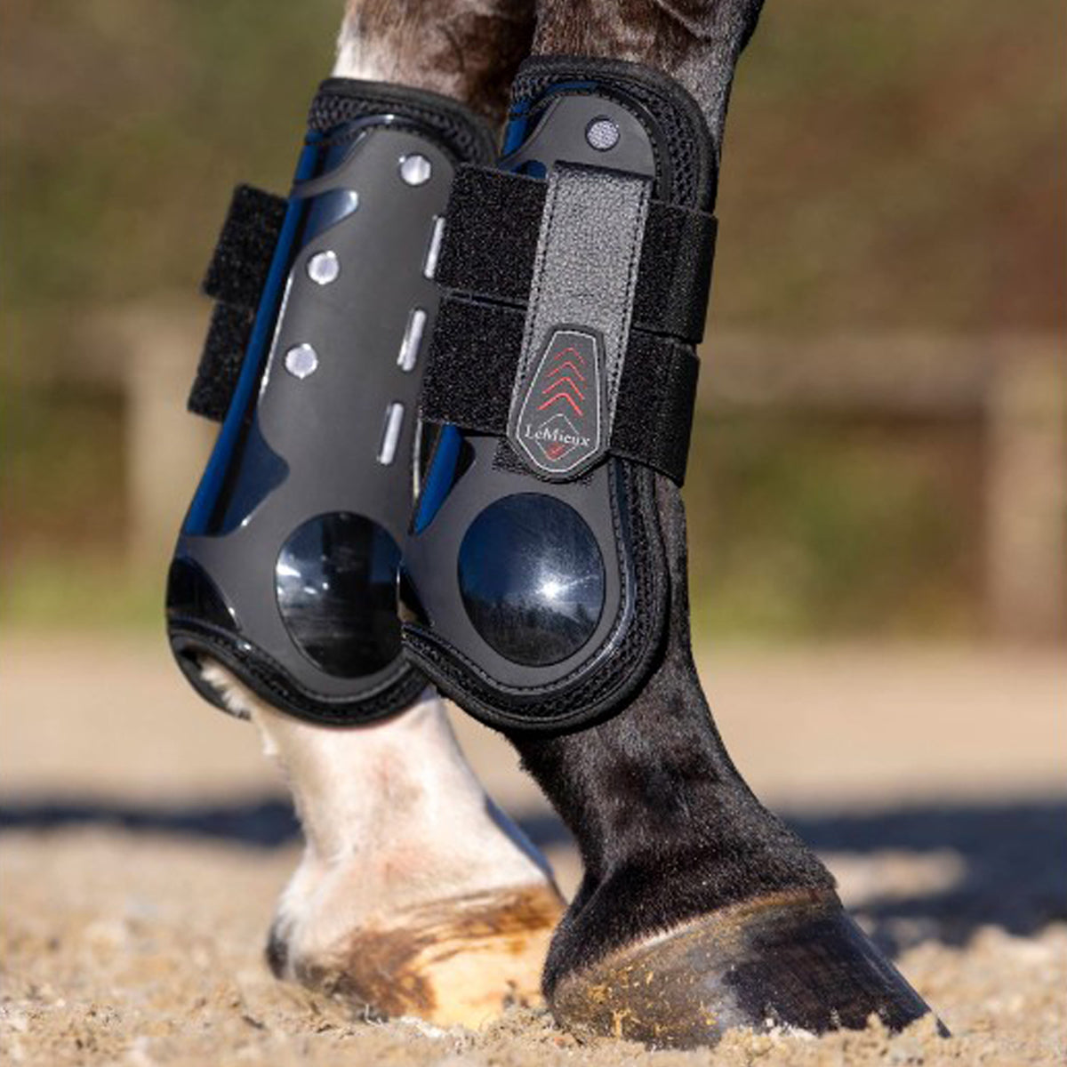 LeMieux Derby ProJump Tendon Boot Farm House Tack