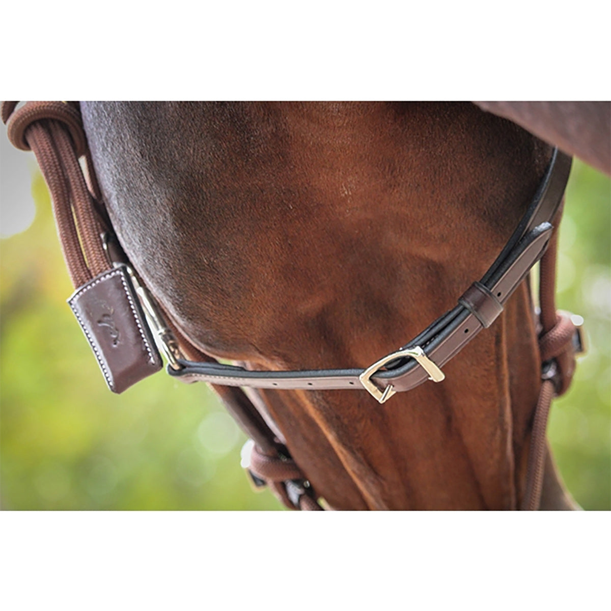 Saddle Pad Set with Halter