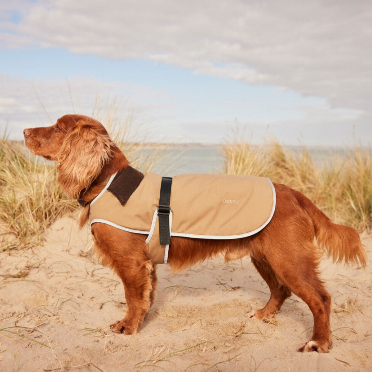 Barbour dog coat on sale with harness hole