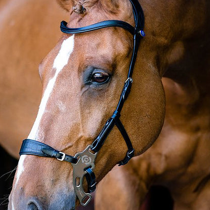 PS of Sweden Hackamore Sport Bridle -Sale