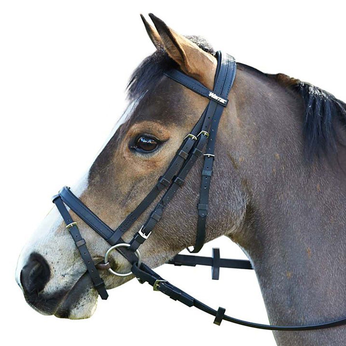 Wintec English Bridle with Flash Noseband | Farm House Tack