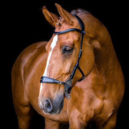 PS of Sweden Hackamore Sport Bridle -Sale