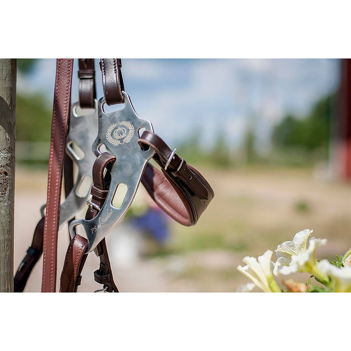 PS of Sweden Hackamore Sport Bridle -Sale