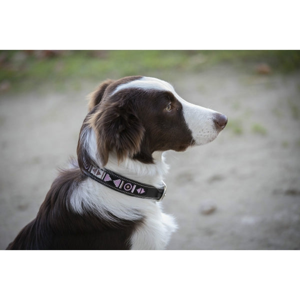 Penelope Pearl Leather Dog Collar- Luxury Dog Collars